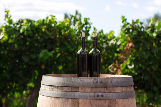 Vinho do Douro e Vinho do Porto